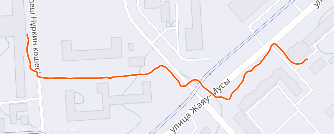 Карта физической активности (Дневная прогулка)