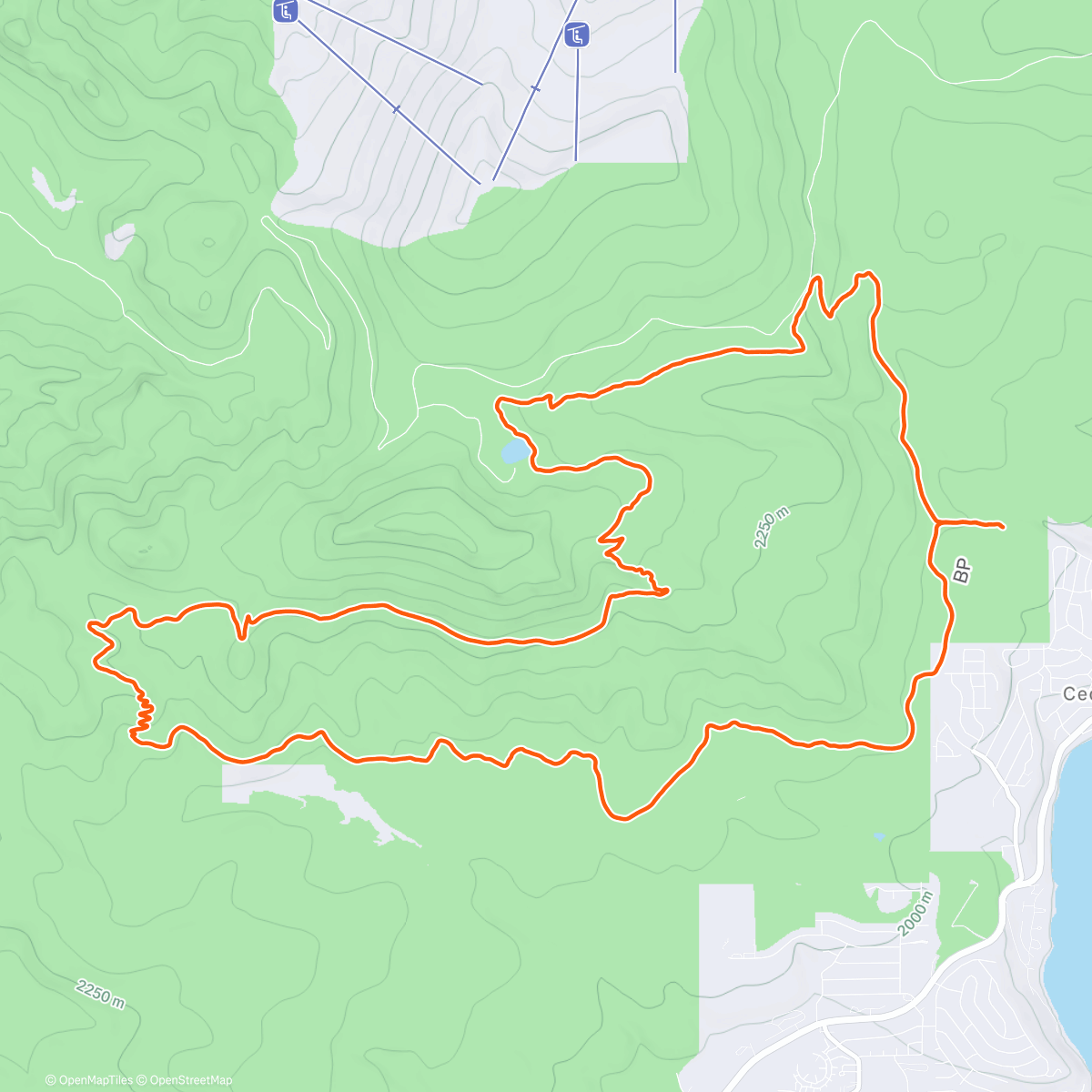 Map of the activity, Fat TRT - Watson - 73-bypass - Whoops