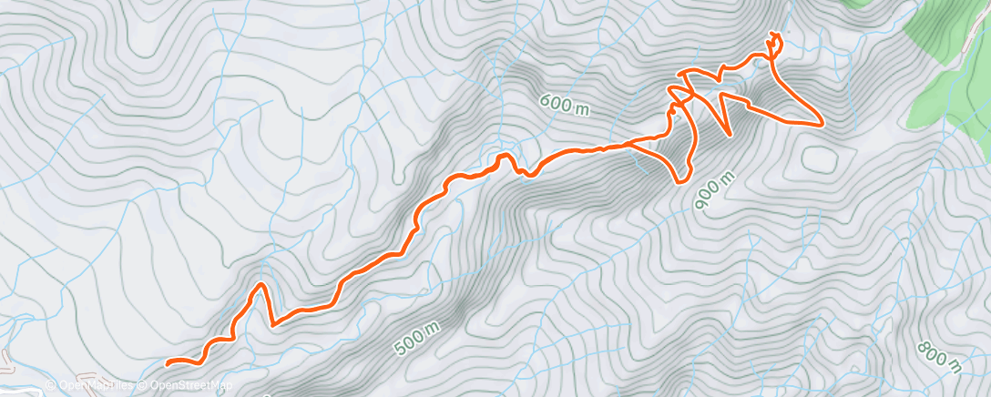 Map of the activity, Morning Hike