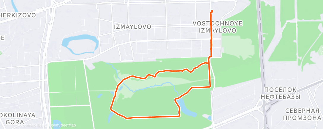 Map of the activity, Вечерний забег