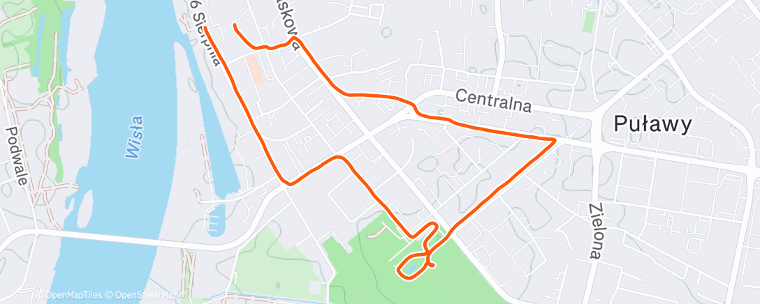 Карта физической активности (Evening Walk)