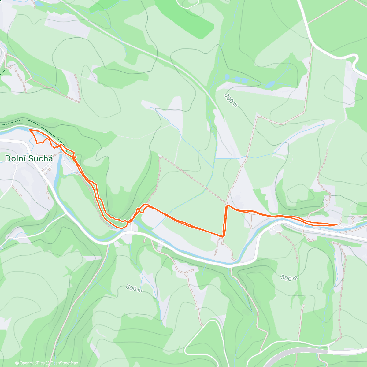 Map of the activity, 🌲