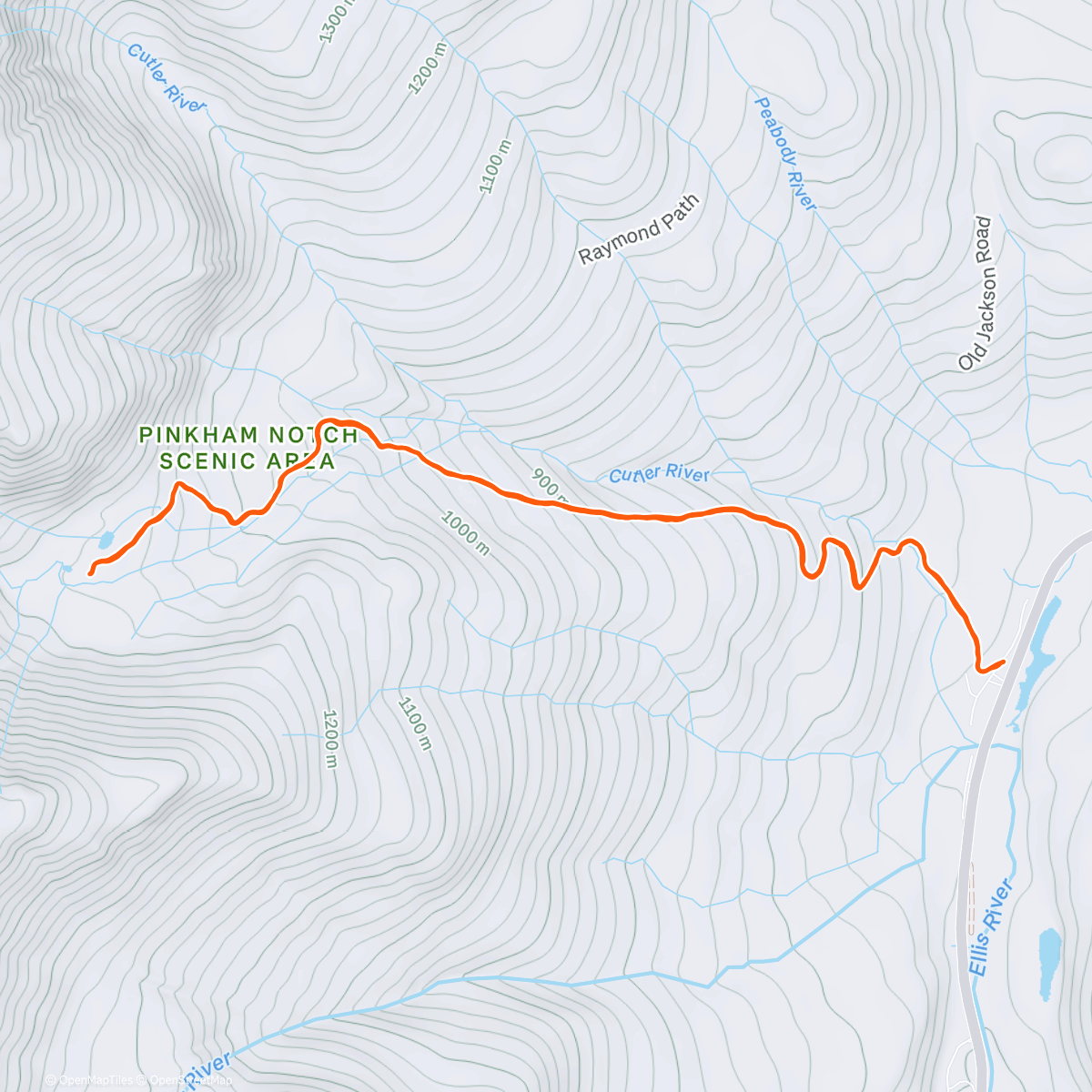 Map of the activity, 🐾 Bootie Tester 🐾