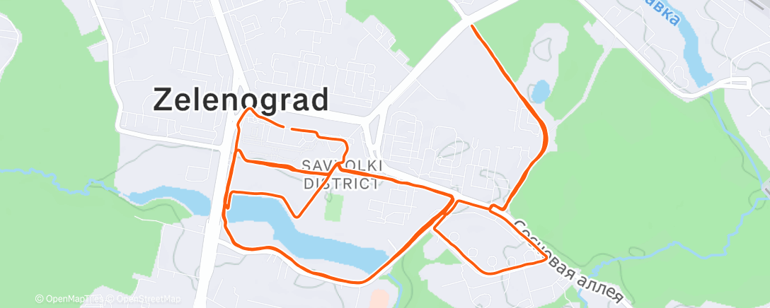 Карта физической активности (Полуденный забег)