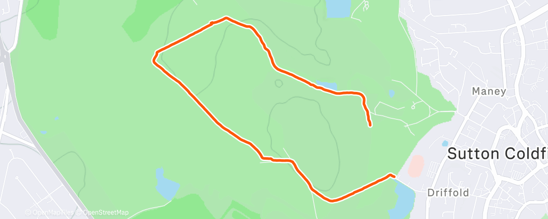 Карта физической активности (Afternoon Walk)