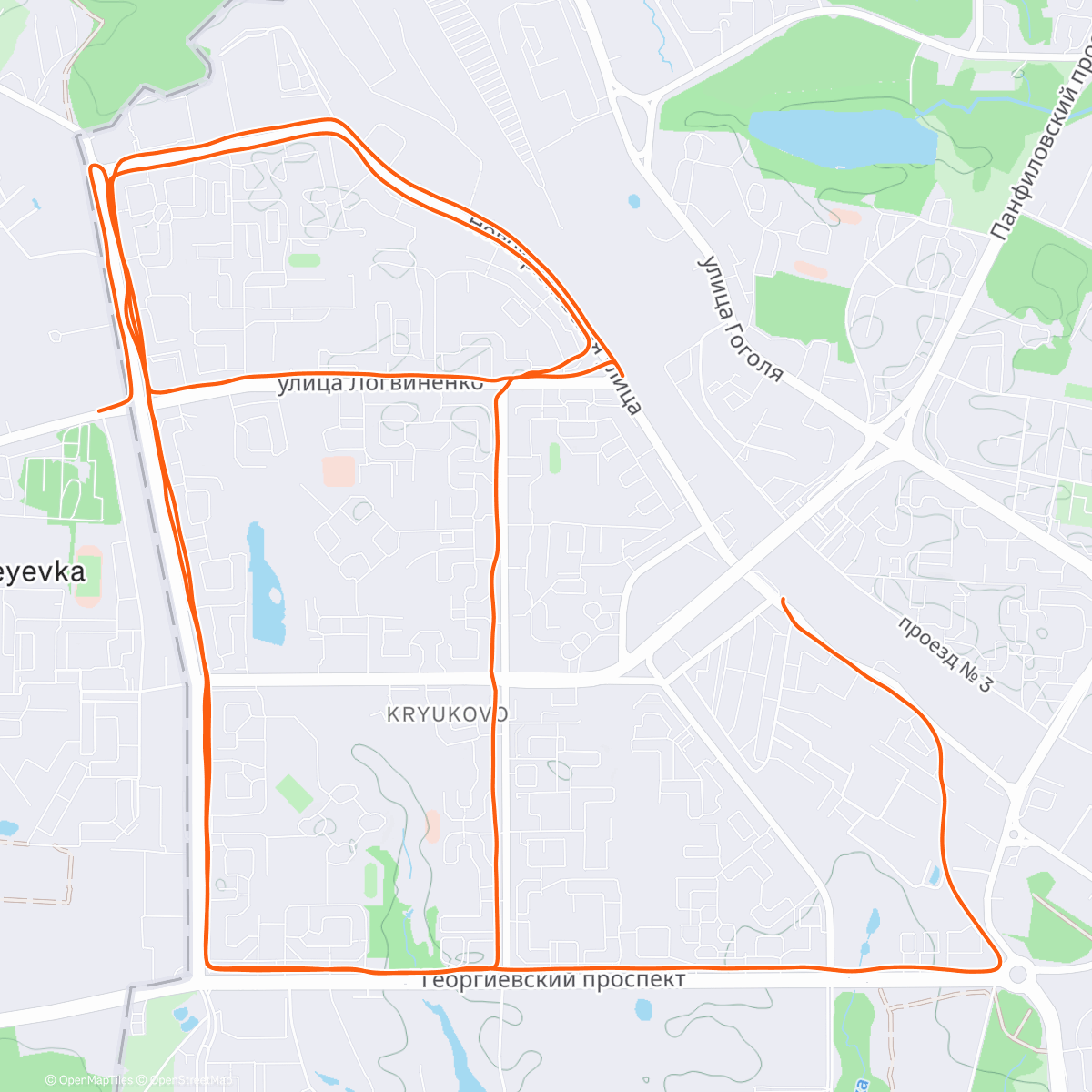 Карта физической активности (Ночной забег)