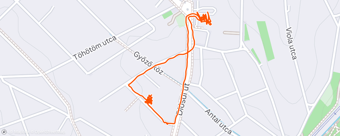 Map of the activity, Afternoon Walk