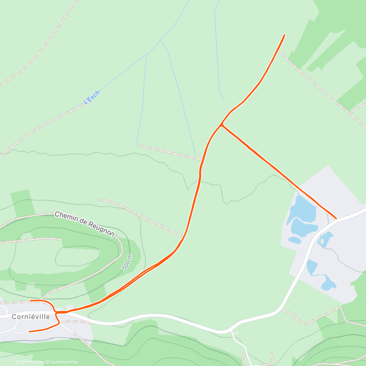 Карта физической активности (🥶| Mrs FREEZE)