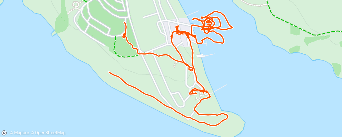 Karte der Aktivität „Afternoon Walk and rowing”