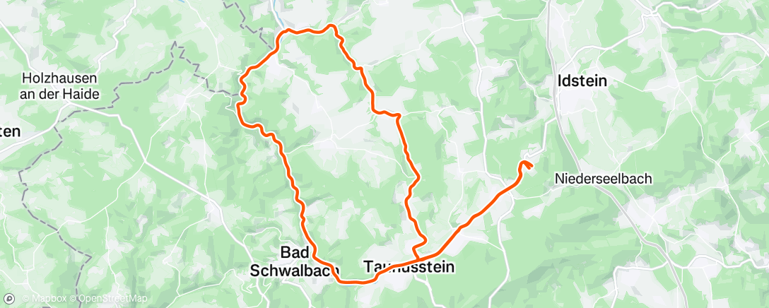 Карта физической активности (Taunustaler XMas HM Battle 353/500)