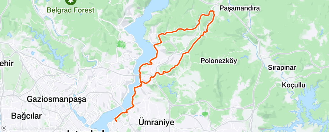 Map of the activity, Morning Ride