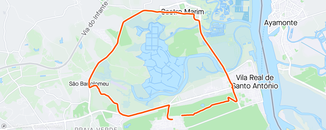 Map of the activity, 10 Mile Run