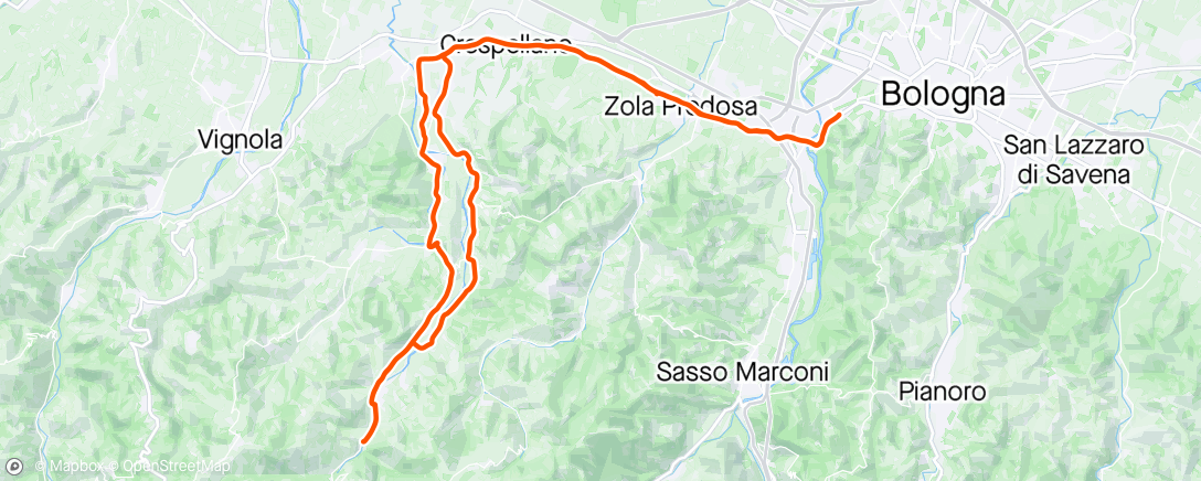 Map of the activity, Savigno