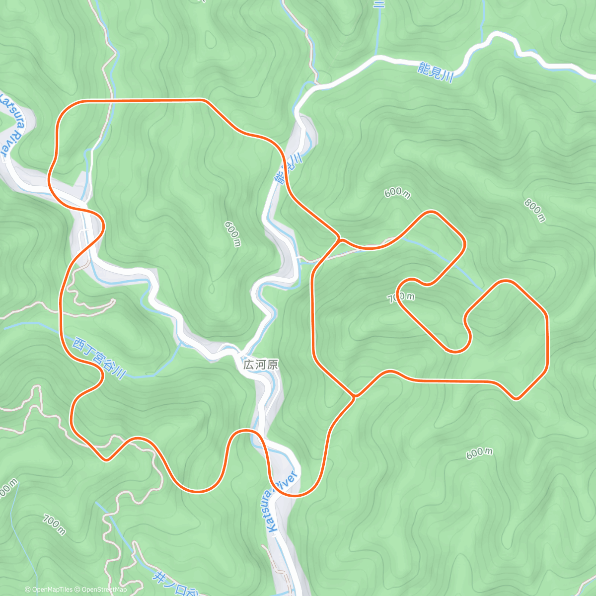 Map of the activity, Drop of a hat, she's as willing as; Playful as a pussycat; Then momentarily out of action; Temporarily out of gas
