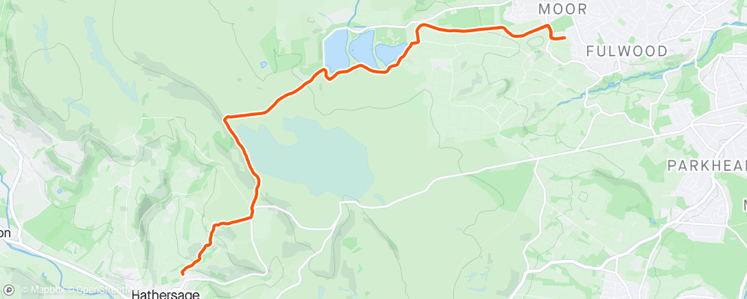 Mapa de la actividad, Morning Trail Run