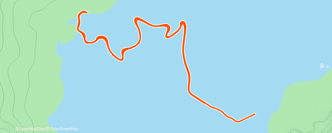 Карта физической активности (Zwift - Climb Portal: Cote de Domancy at 50% Elevation in Watopia)