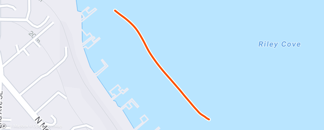 Map of the activity, Morning Swim- Part 2