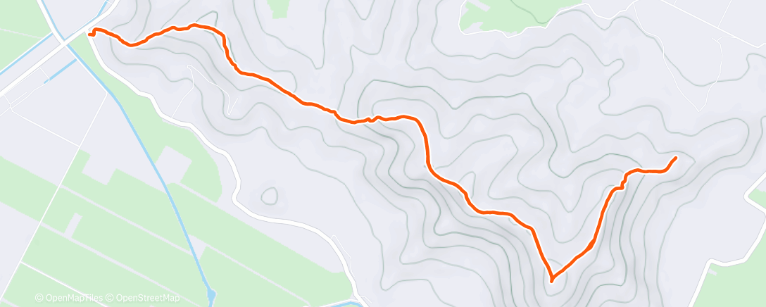 Карта физической активности (Morning Trail Run)