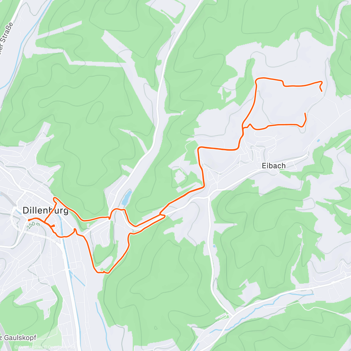 Карта физической активности (Wandern nach Dillenburg👟👟👟👟🐕‍🦺🐕‍🦺🐕‍🦺🥳)