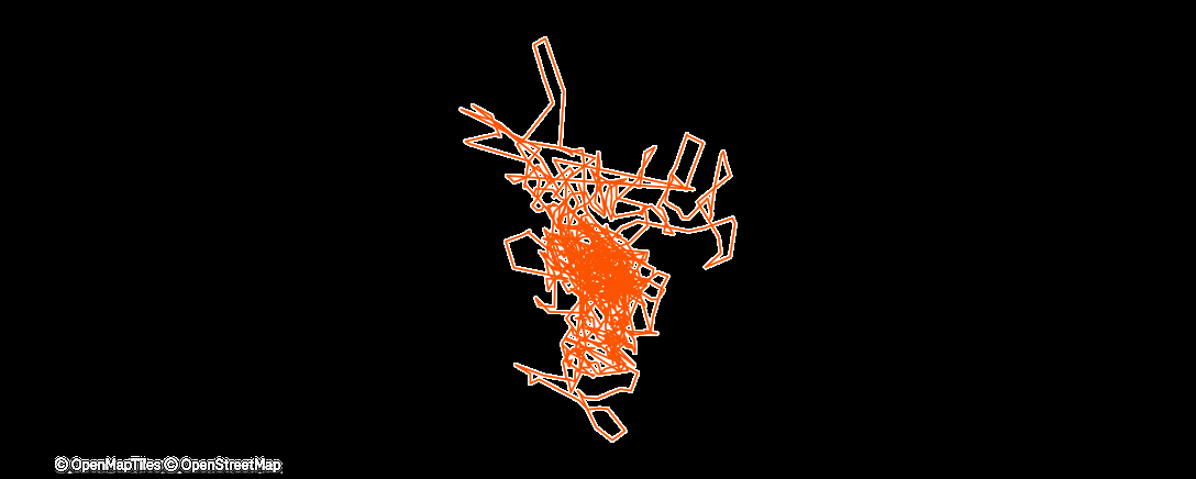 Map of the activity, Evening Workout