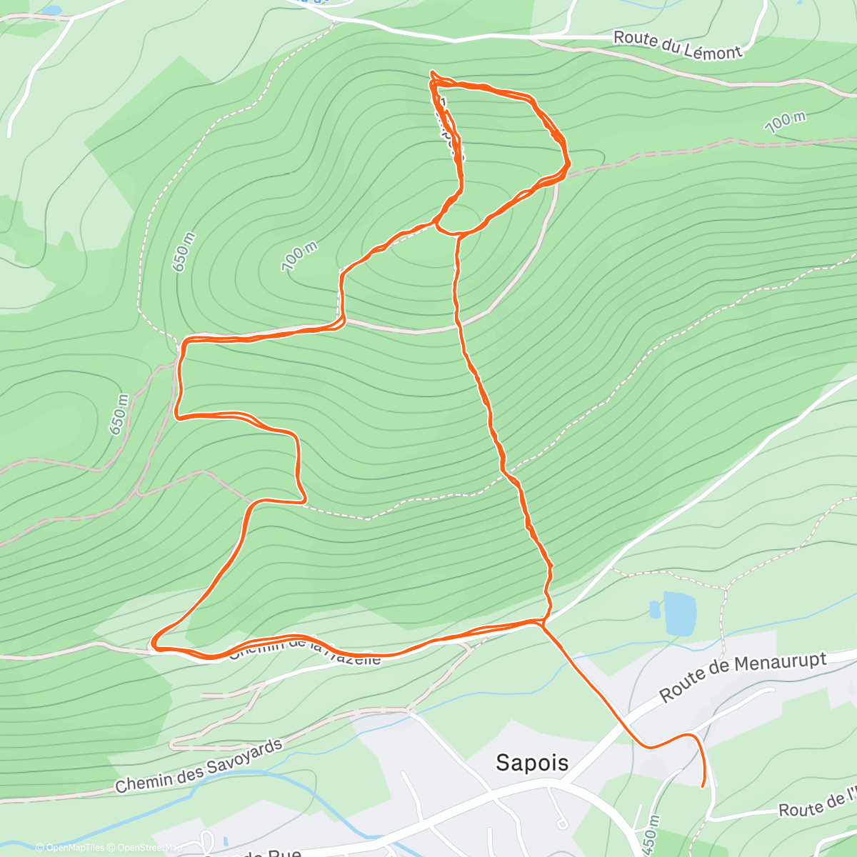 Map of the activity, 2 frangipanes..