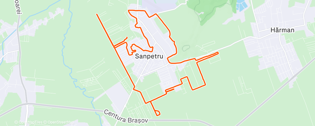 Map of the activity, Flat Sânpetru