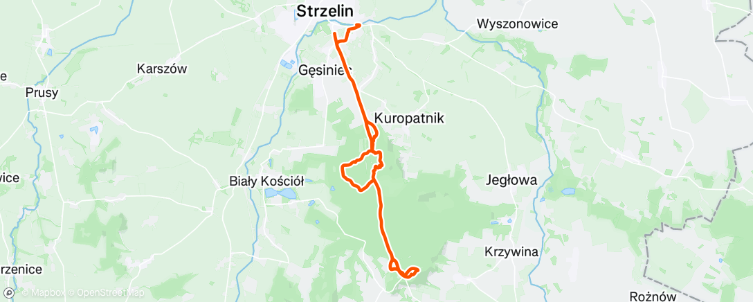 Map of the activity, Pierwsza jazda bez bólu pleców 😀