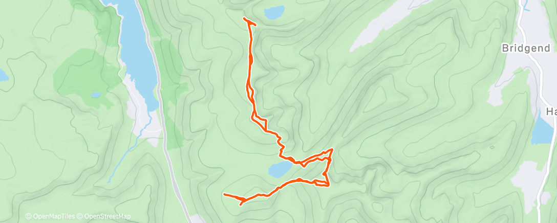 Карта физической активности (Recce)