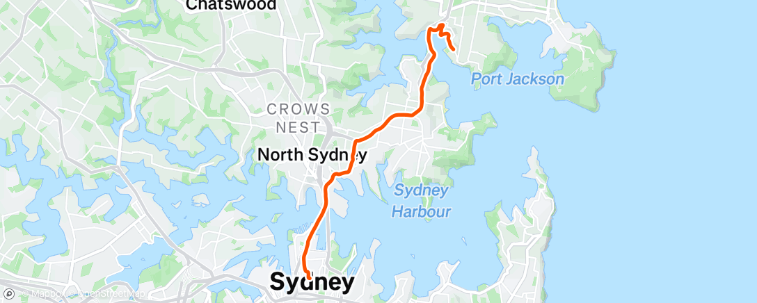 Map of the activity, Morning Run