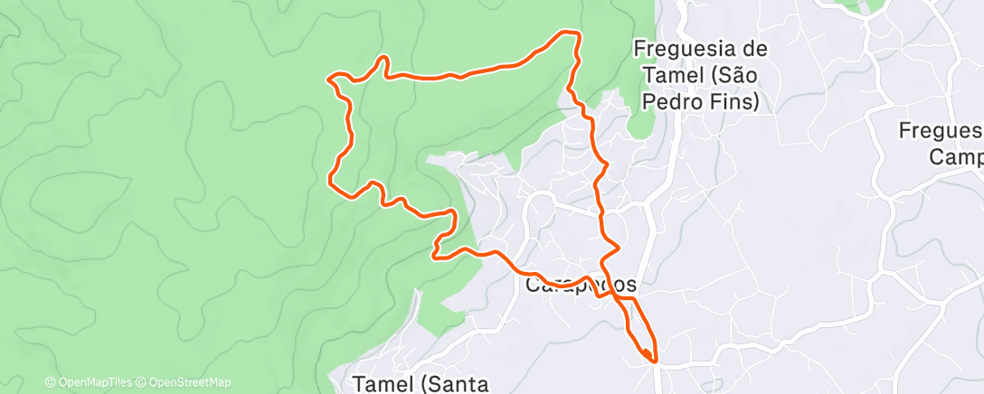 Map of the activity, Mini Monte