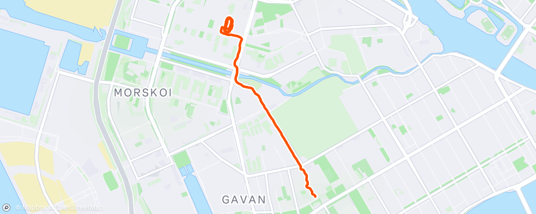 Map of the activity, Morning Run