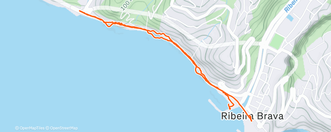 Карта физической активности (Afternoon Walk)