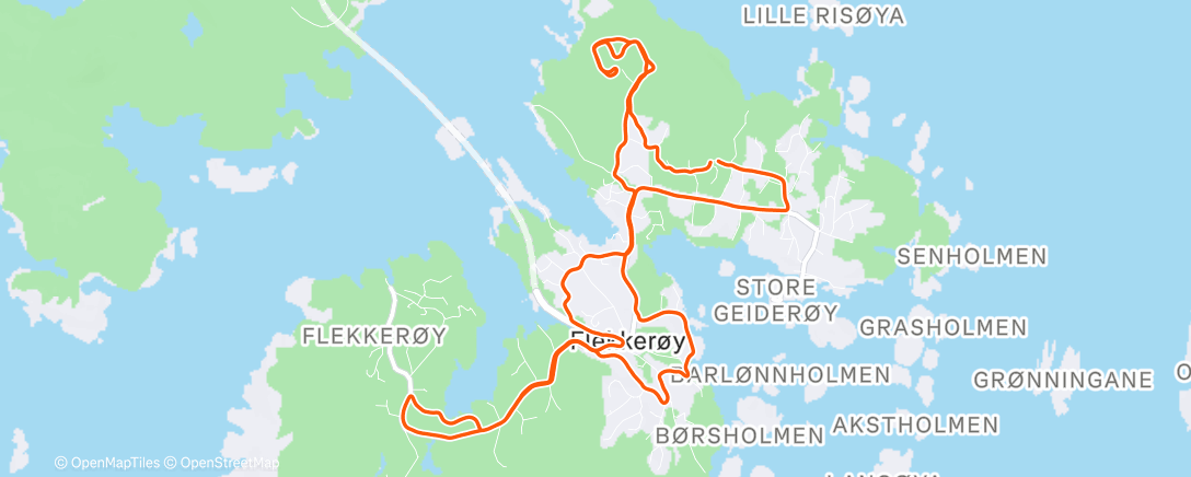 Карта физической активности (Løping blir hvertfall ikke lettere av julemiddag🐑)