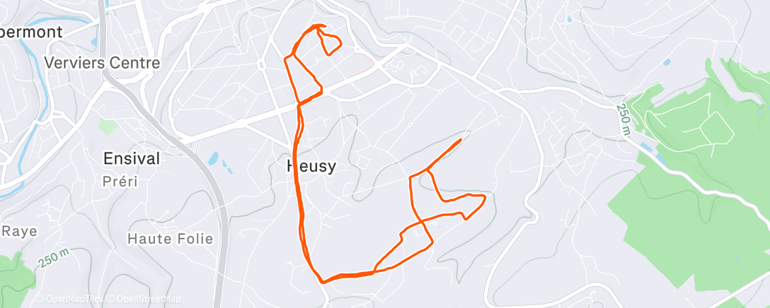Map of the activity, Verviers - Volume 10K