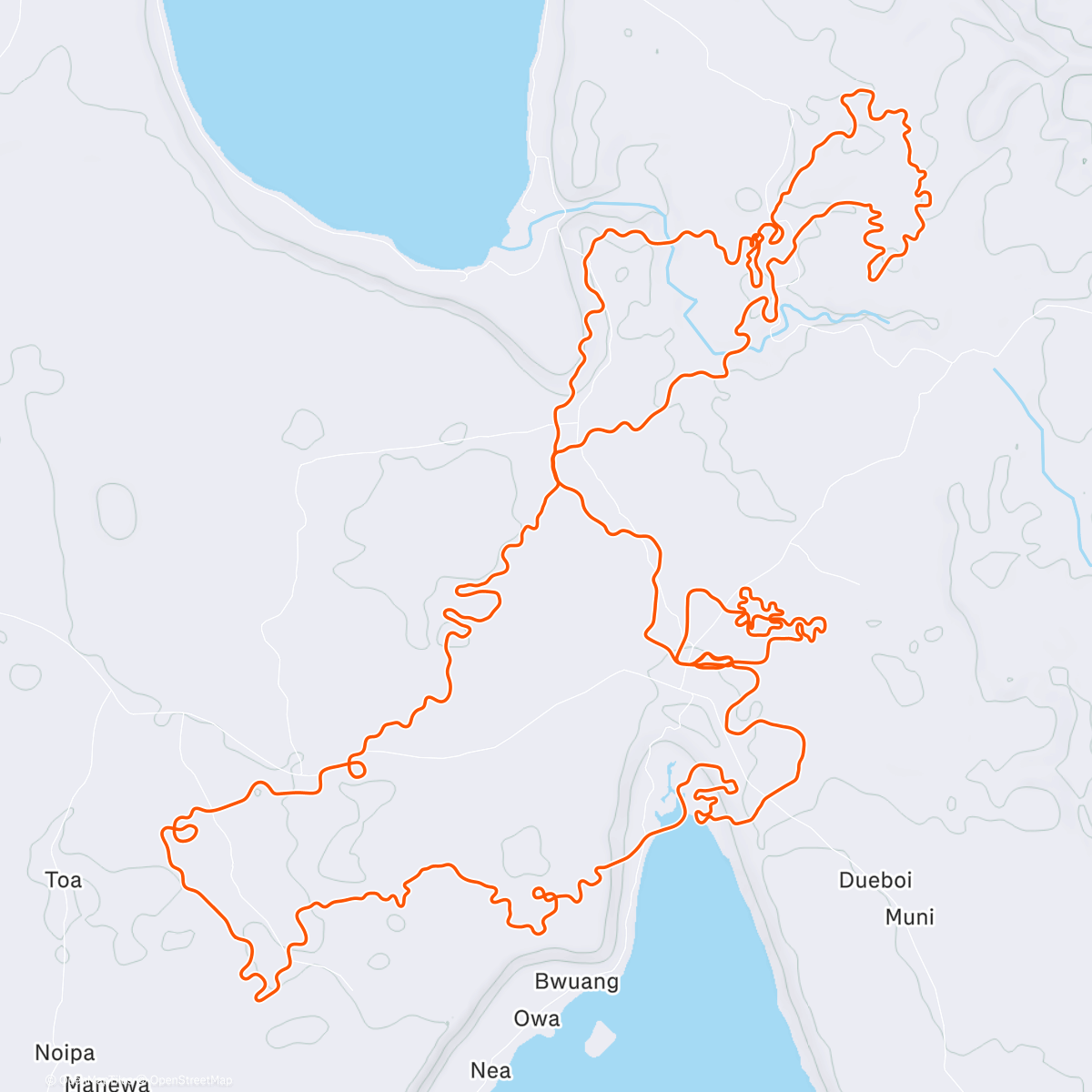 Map of the activity, Zwift - Shisa Shakedown in Makuri Islands