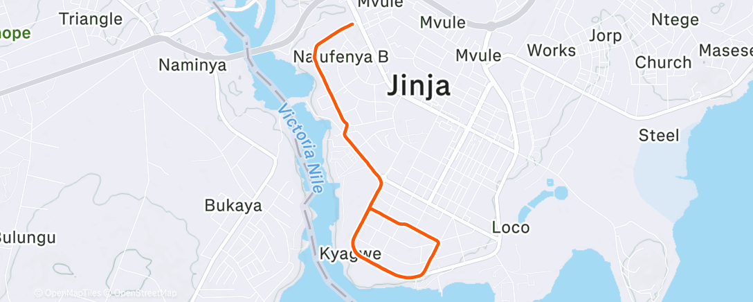 Mappa dell'attività Утренний забег