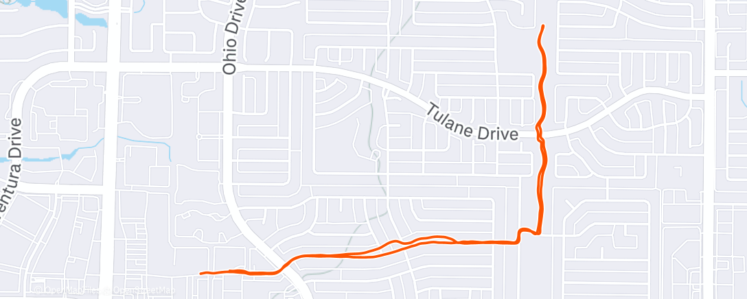 Map of the activity, Evening Run