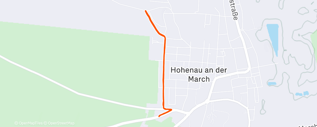 Карта физической активности (Afternoon Run)