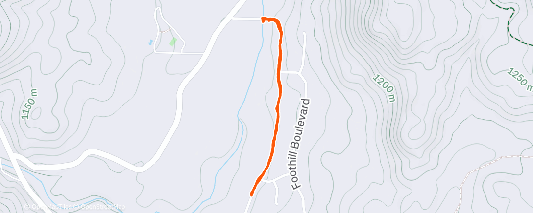 Map of the activity, Evening Run