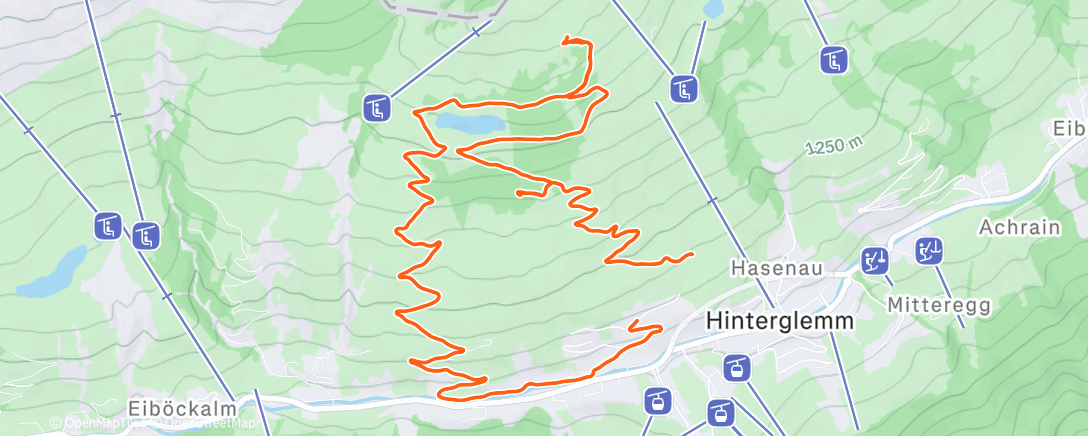 Карта физической активности (Traillauf am Morgen)