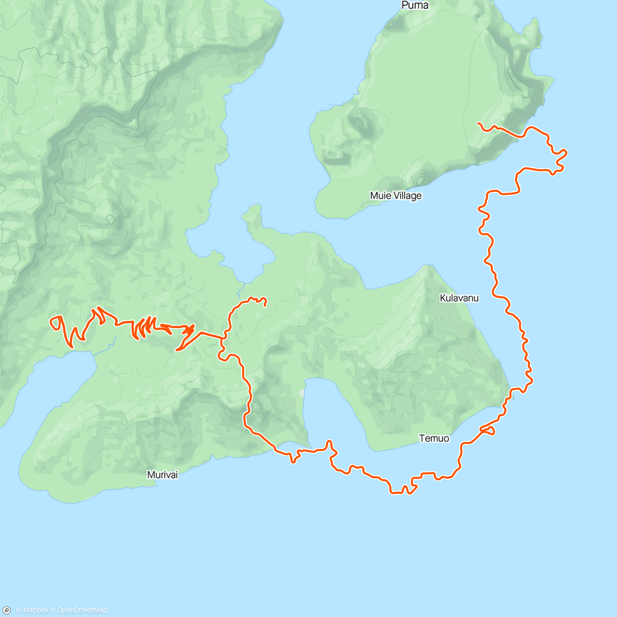 Map of the activity, Zwift - Accelerate to Elevate in Watopia