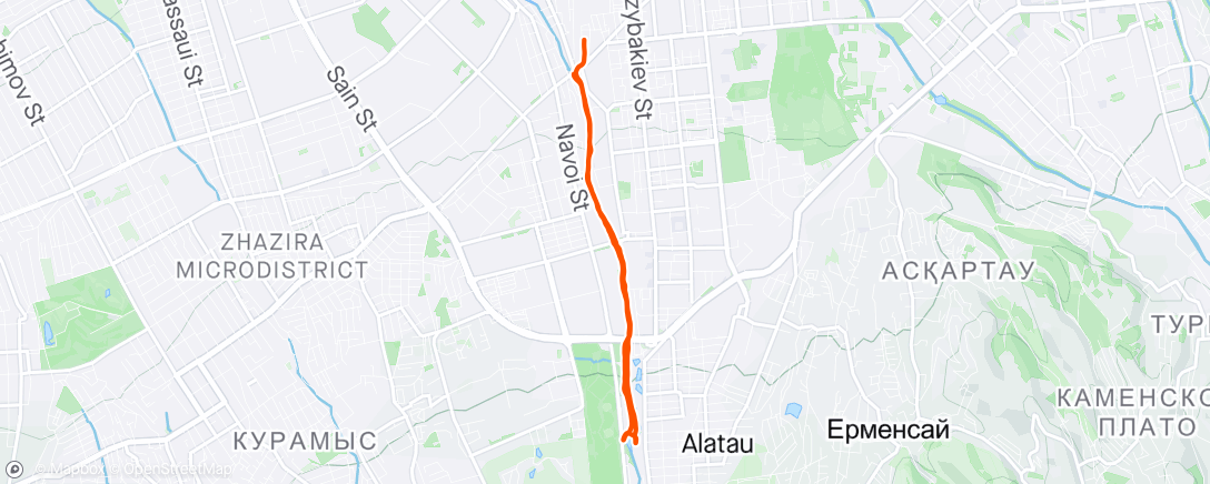 Map of the activity, Morning Run