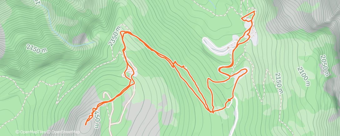 Карта физической активности (Morning Nordic Ski)