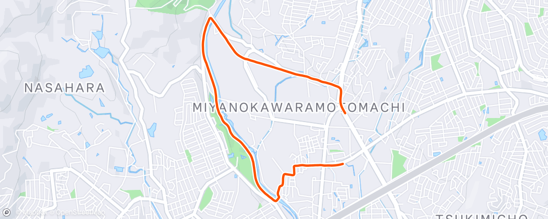 Map of the activity, 夜のランニング