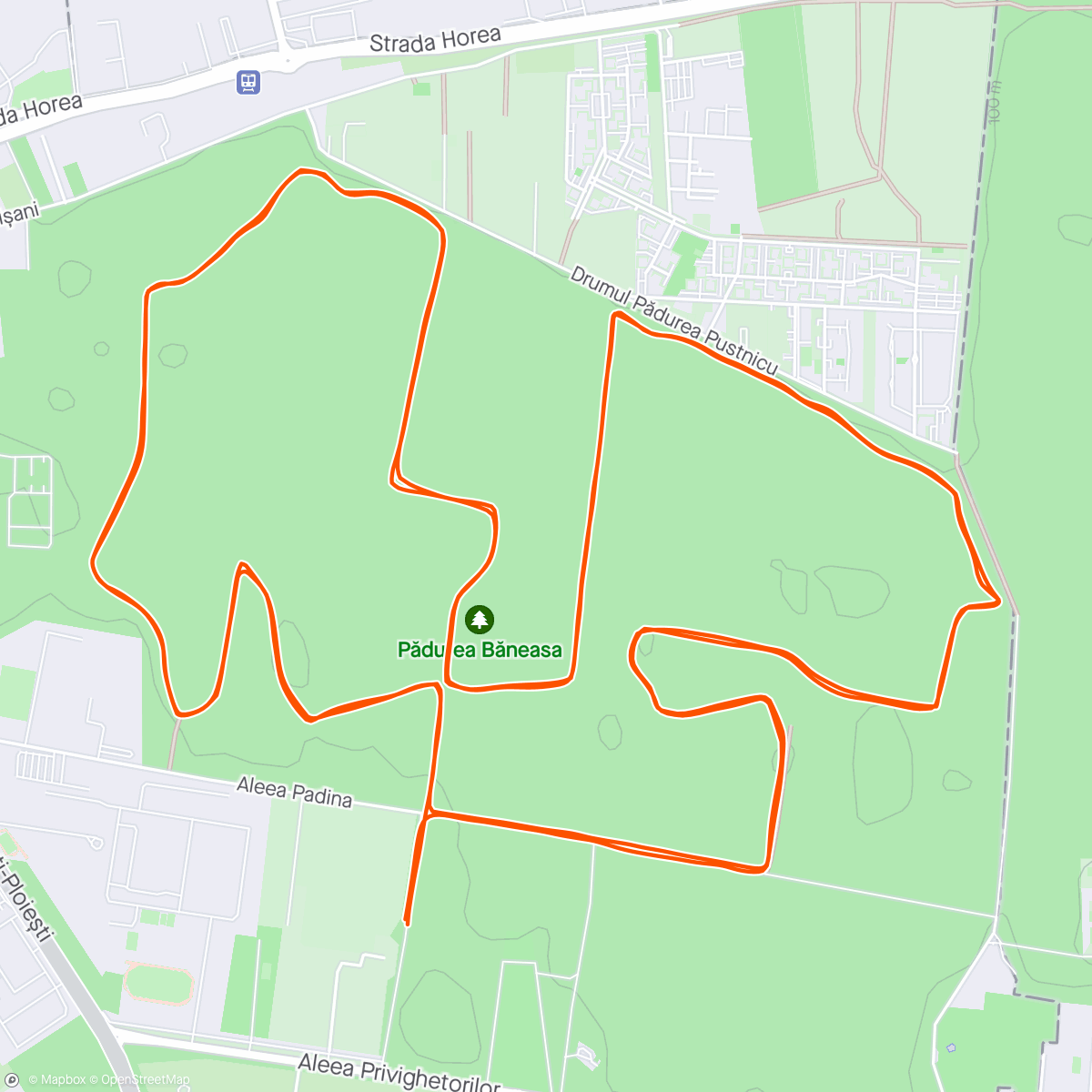 Map of the activity, Băneasa Forest Run 🥈open /🥇categorie