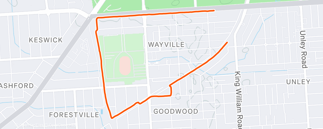 Map of the activity, Morning Run