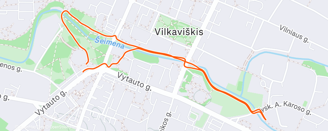 Карта физической активности (Afternoon Walk)