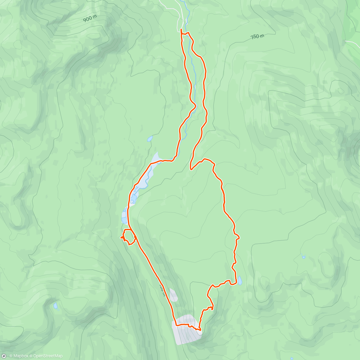 Map of the activity, Whitewall