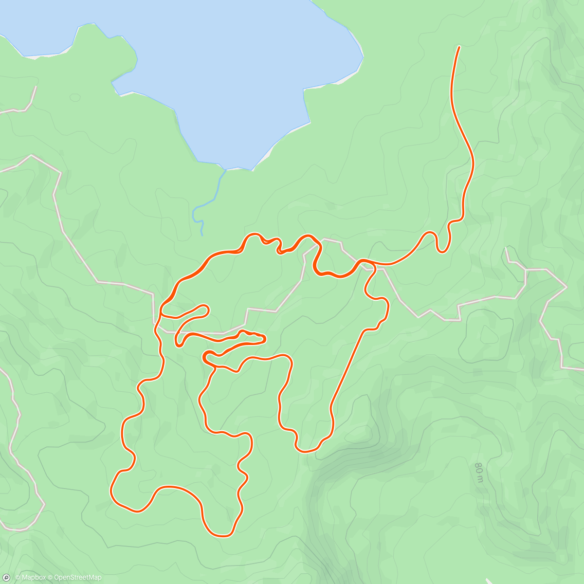 Map of the activity, Zwift - Serpentine 8 in Watopia