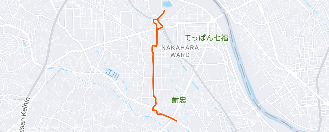 Карта физической активности (午後のライド)